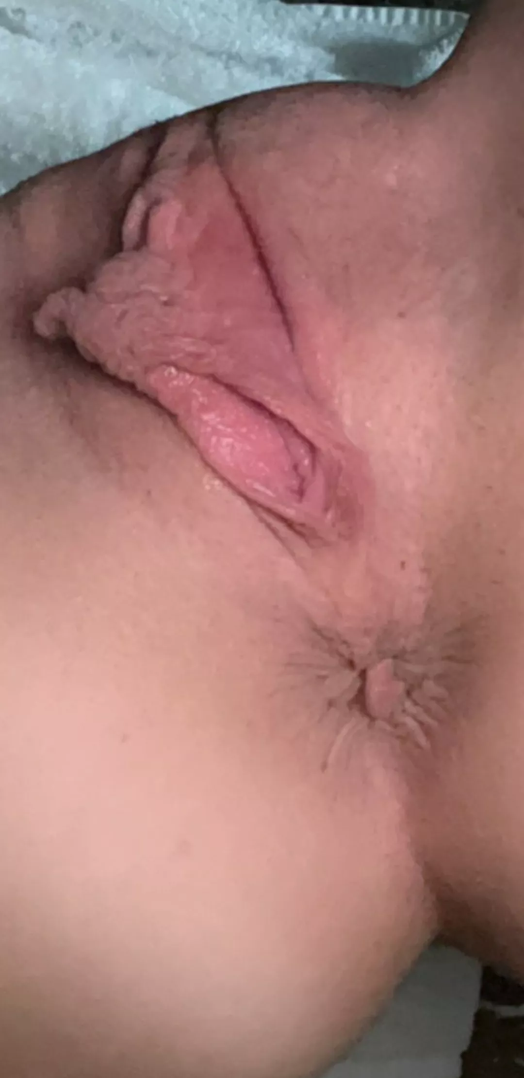 wings folded in flight