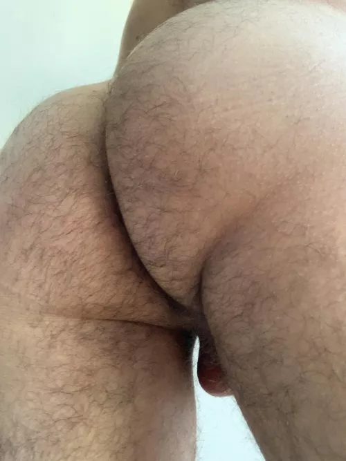 Would you like to taste this hairy ass?