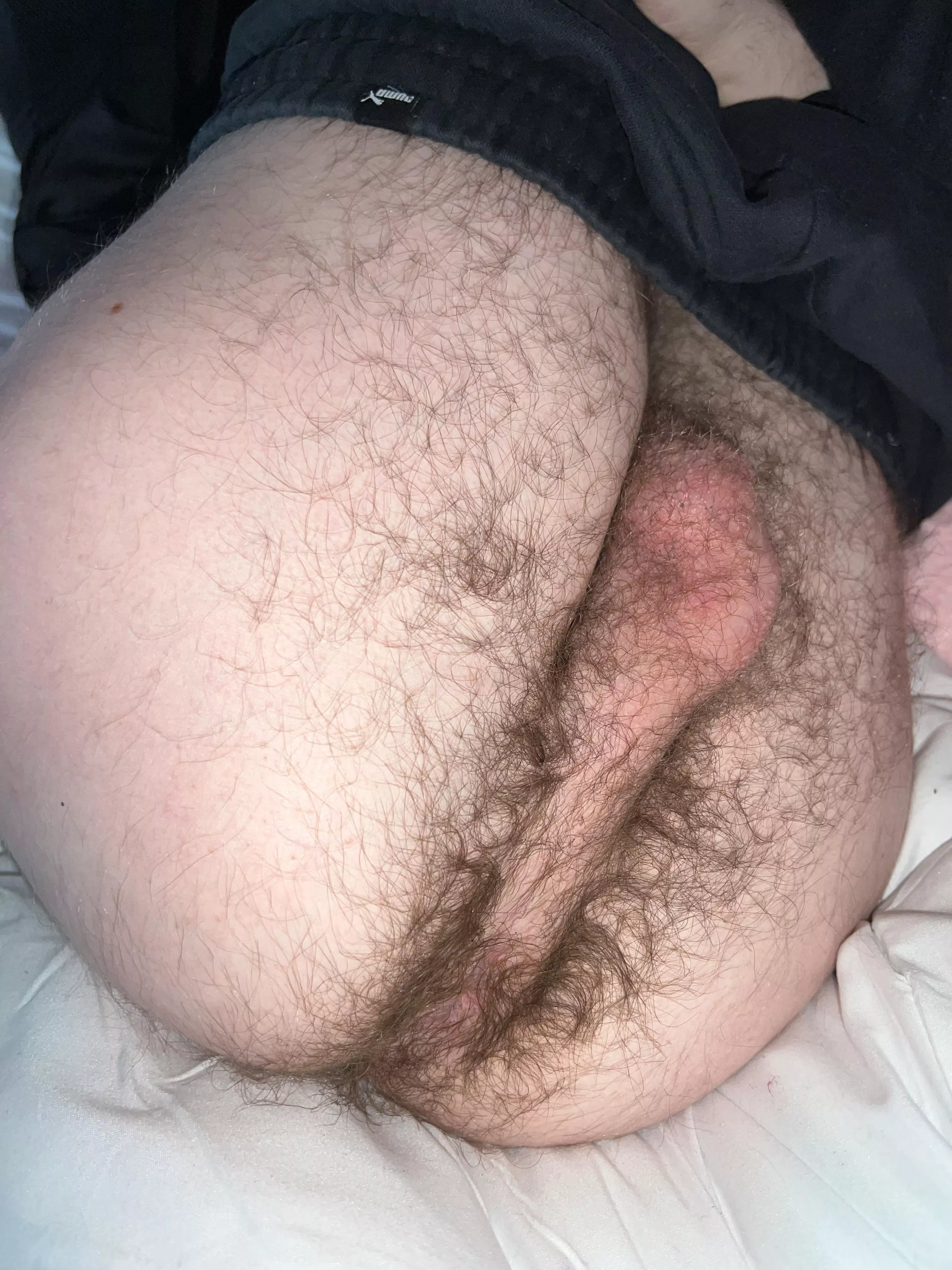 (18) Bear furry assss🍑🍆🍑