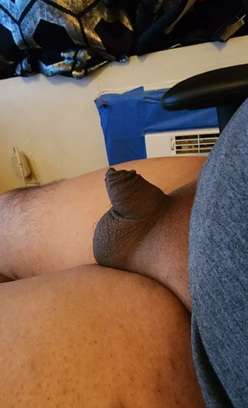 30 Softie just hangin around