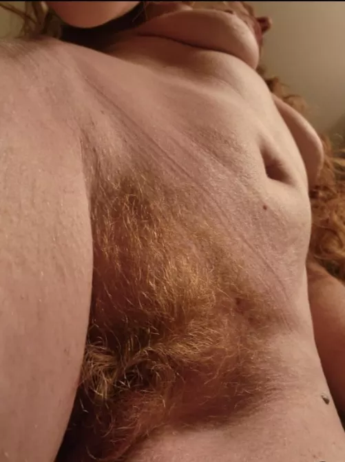 Closeup of my firebush