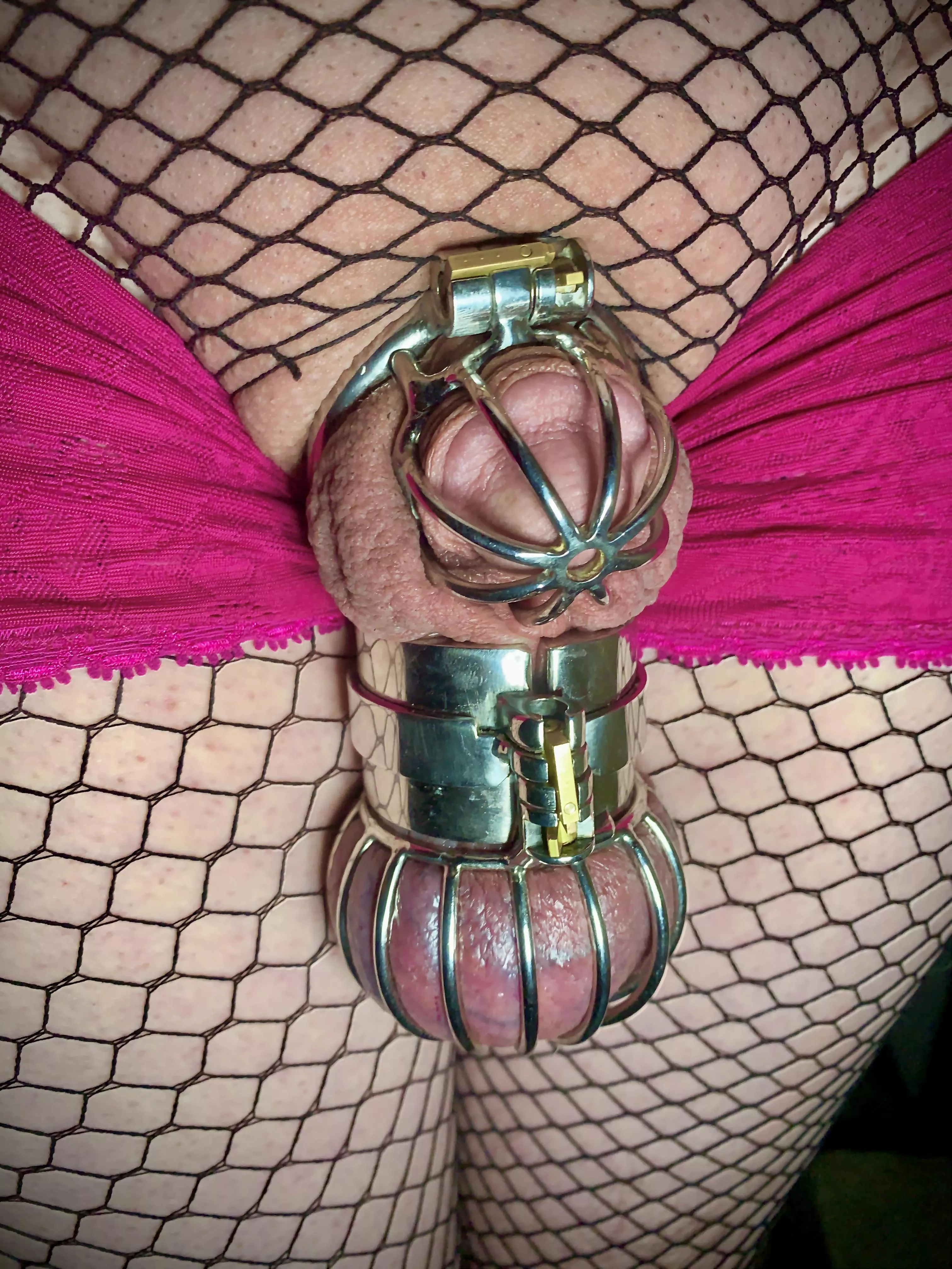 Daddy put me in full lockdown. ☹️