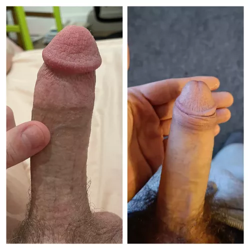 Dwarfed by r/RinkTwink