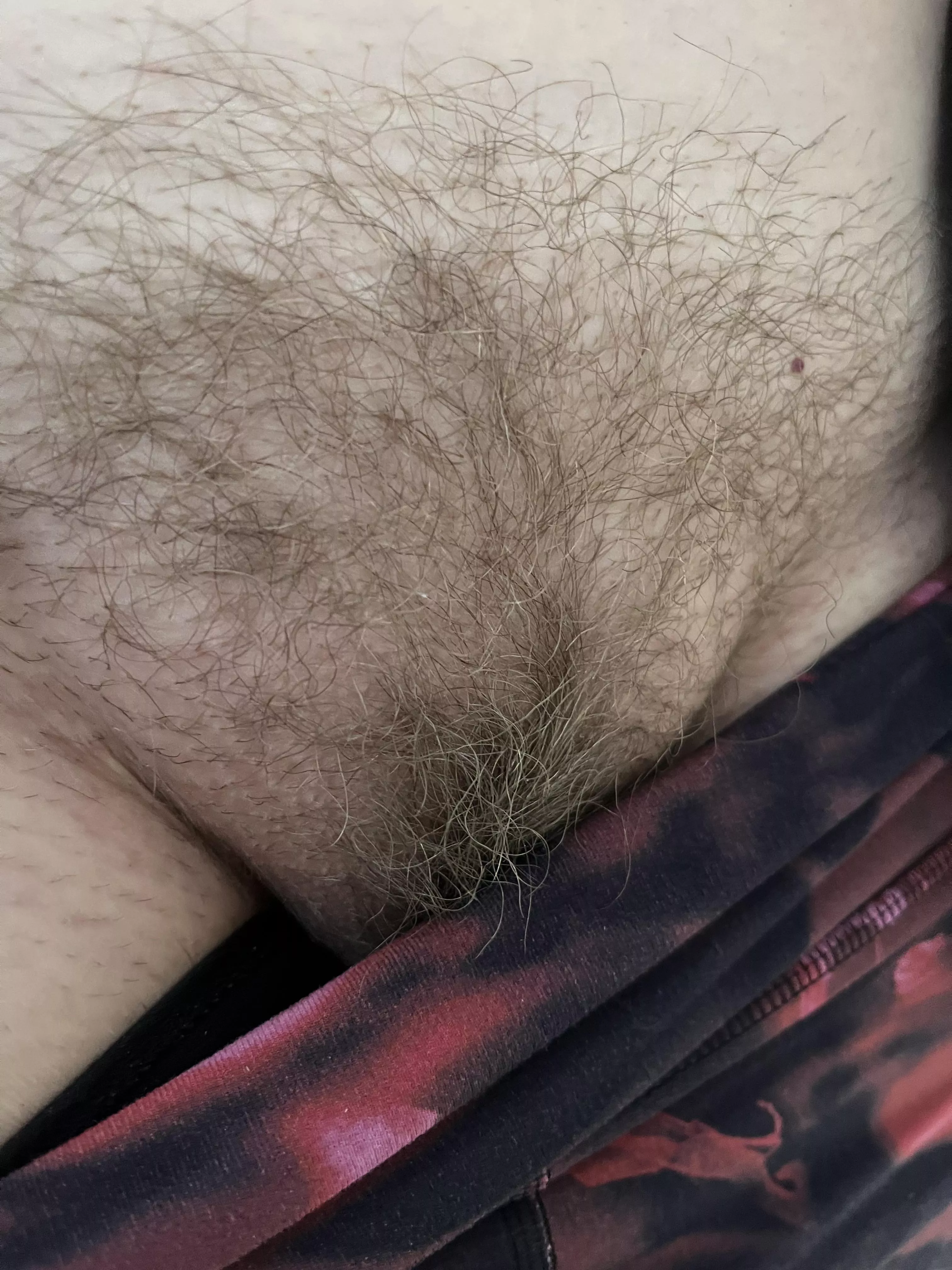 Early morning hockey mom bush