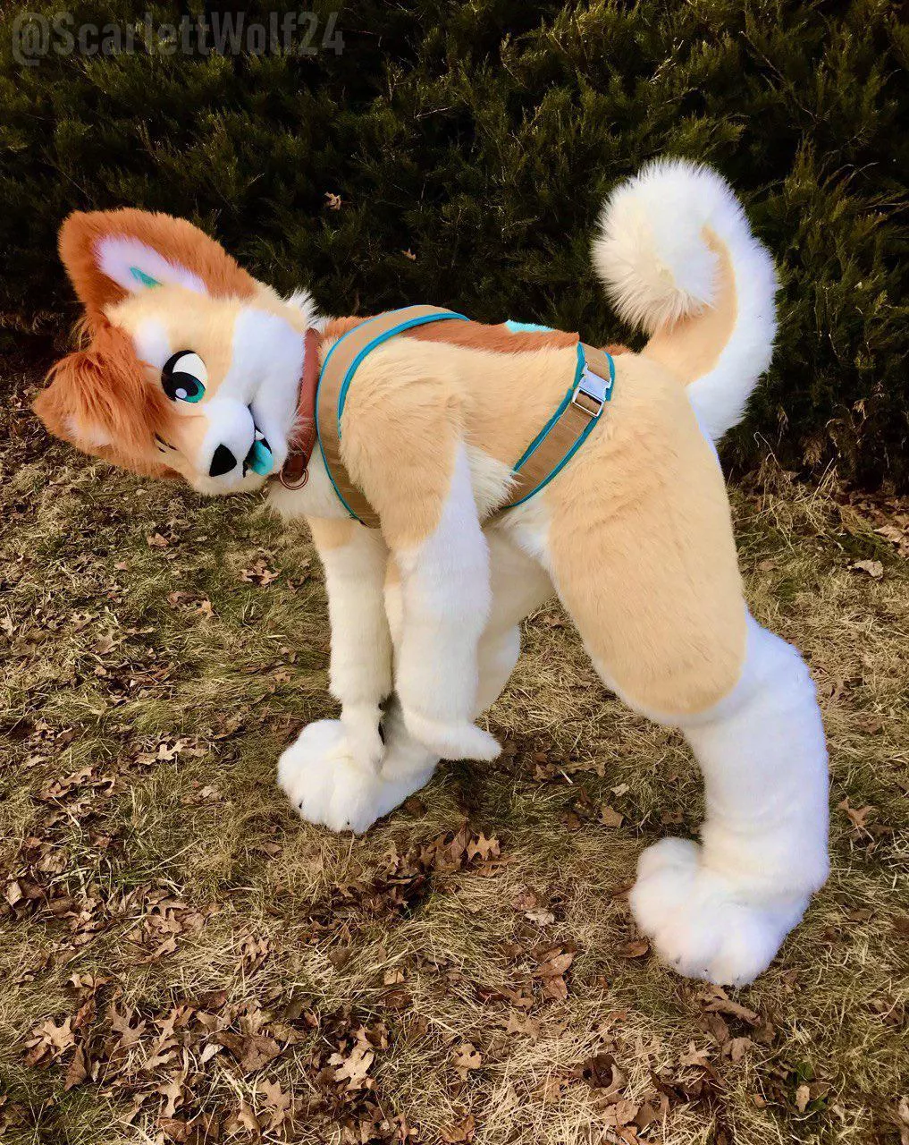Happy Fursuit Friday! 🐾✨🍂