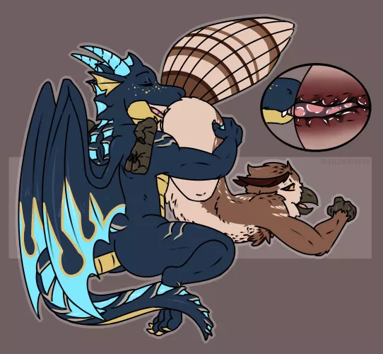 Hoothole Rimming (WallsWhisper)