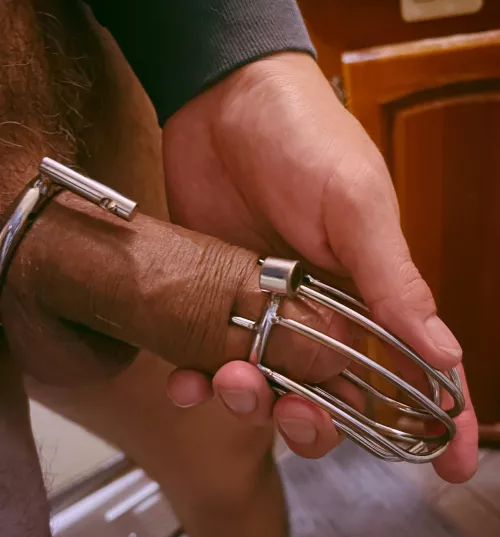 I don’t care if it’s still hard Cucky. Put it on now!