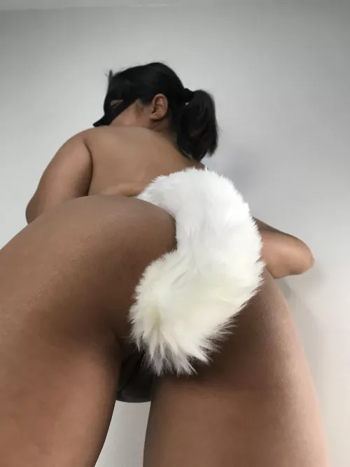 I hope you like the contrast of colors…