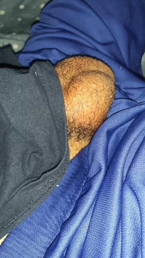 if you see me sleeping like this, would you touch, lick or sniff my balls?