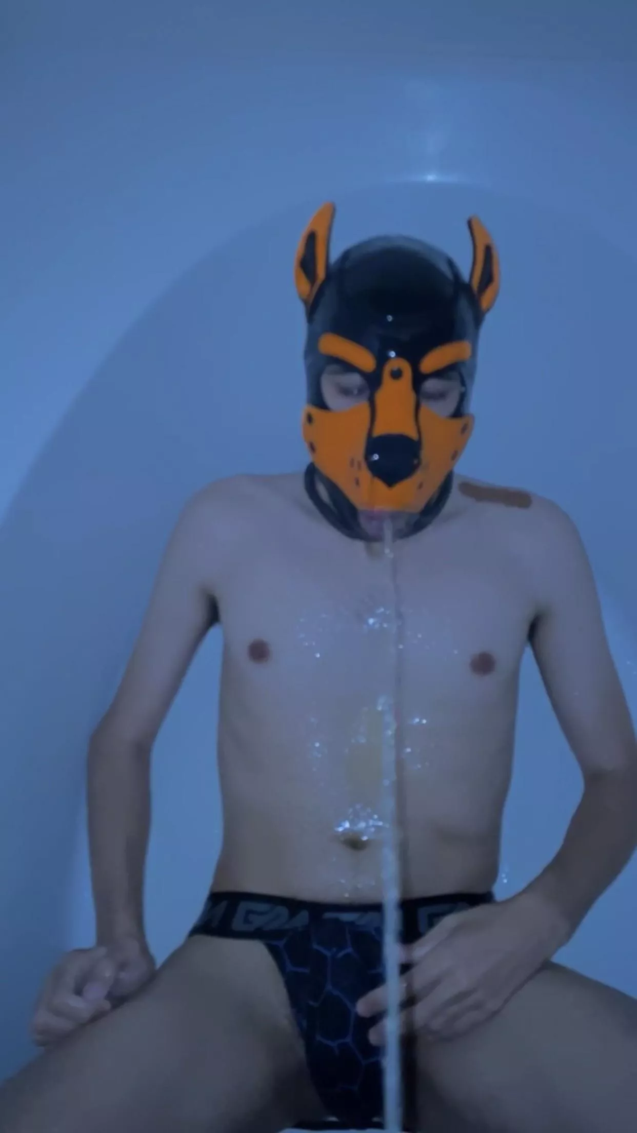 I’m a piss 🐶! Follow my Twitter @Neuro_pup :)