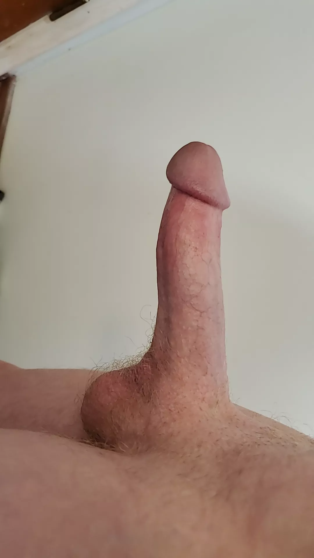 jacking my cock