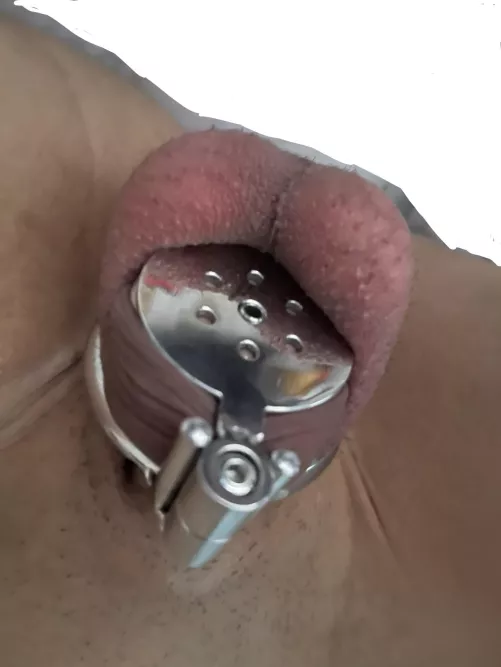 Just got my new cage!