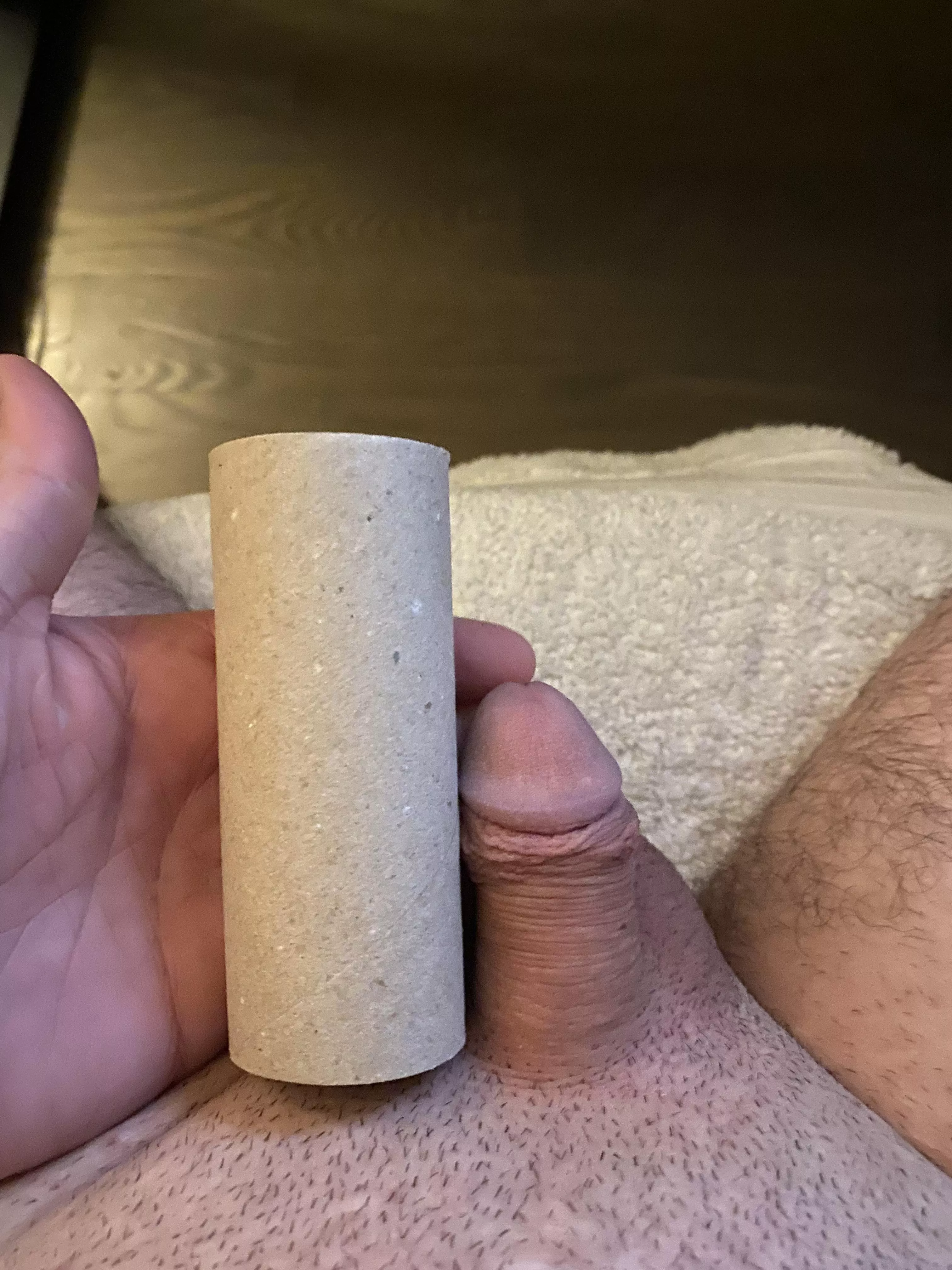 Let’s compare softies