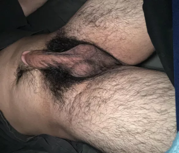 Look at my bush that I’ve been growing since I was in high school