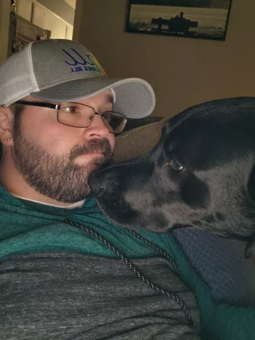 Moose has decided that this is where he's going to be all night.