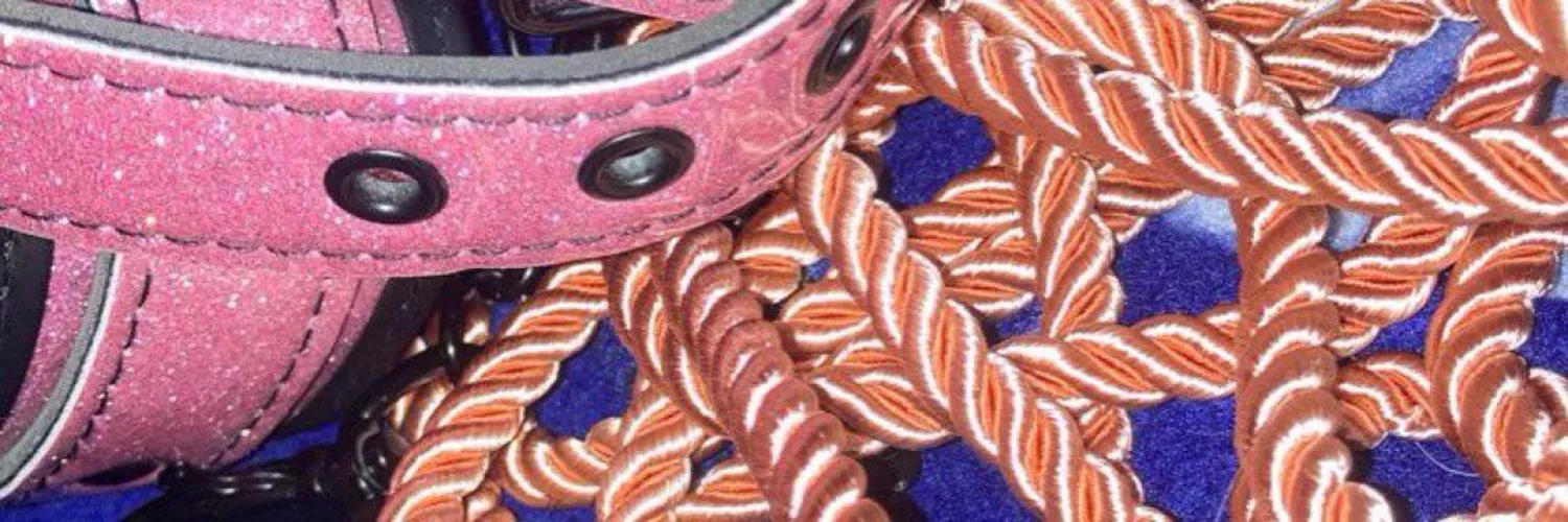 My girlfriend hogties me on request