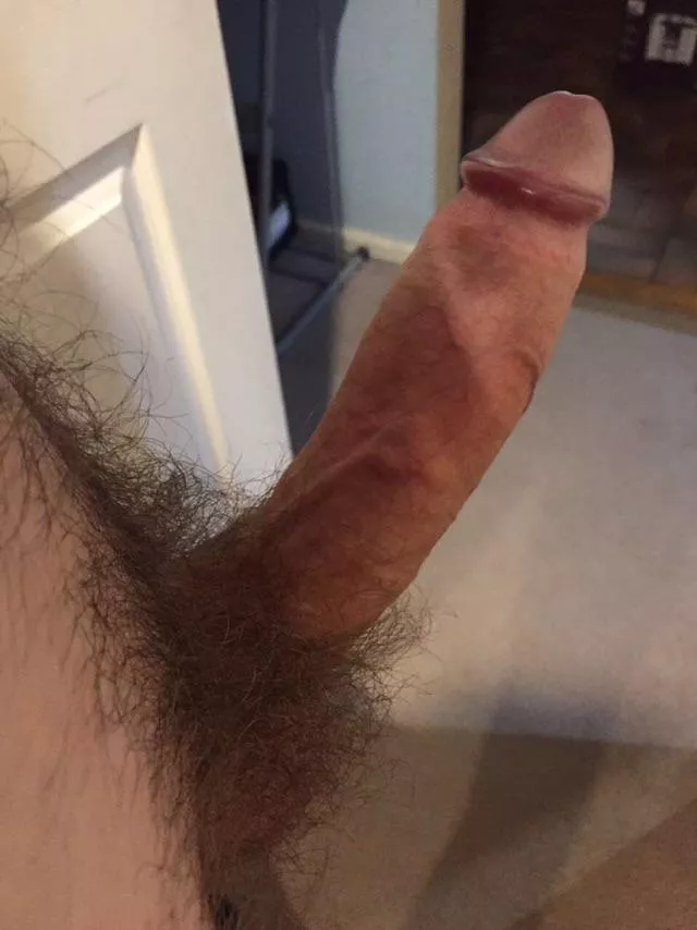 My hairy cock needs sucking