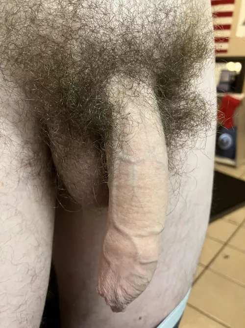 My Texas bred softie 😄👌🏻