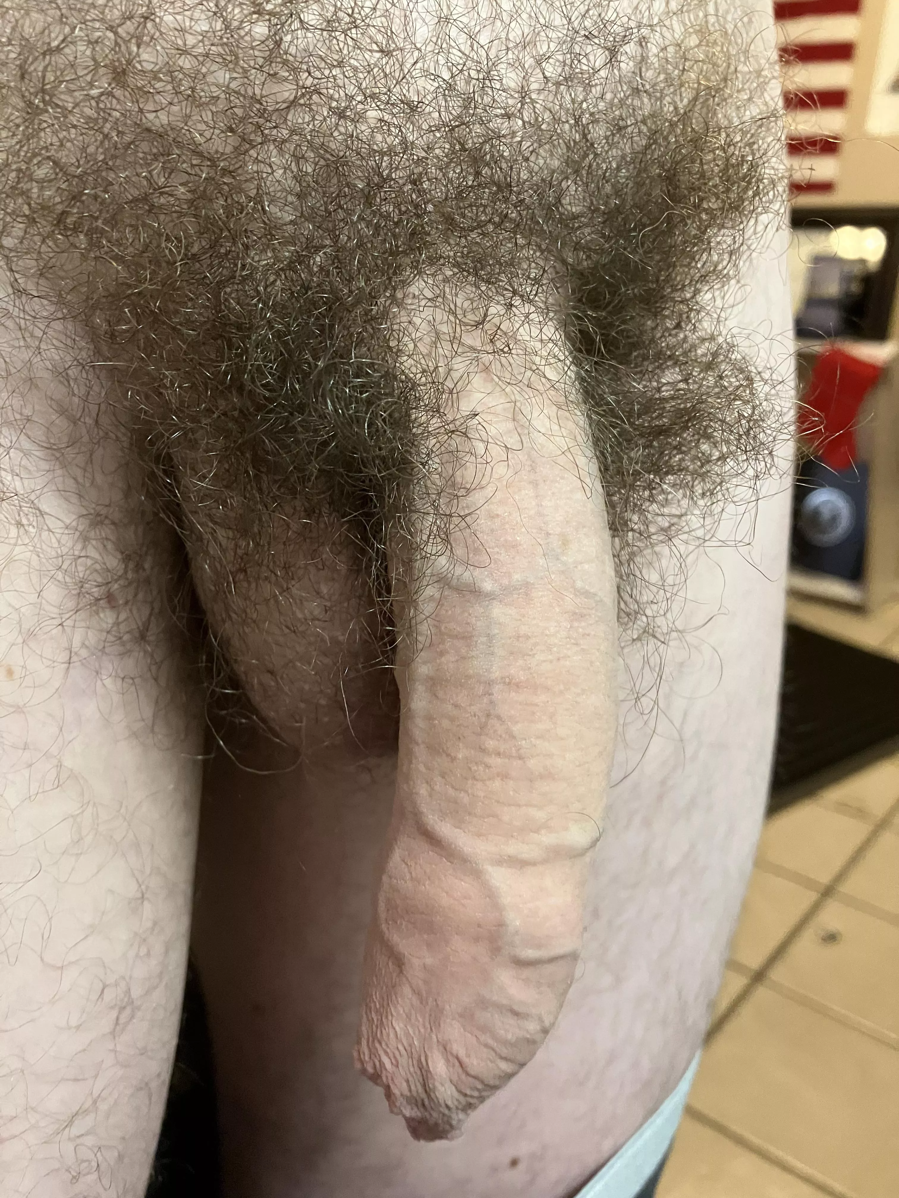 My Texas bred softie 😄👌🏻