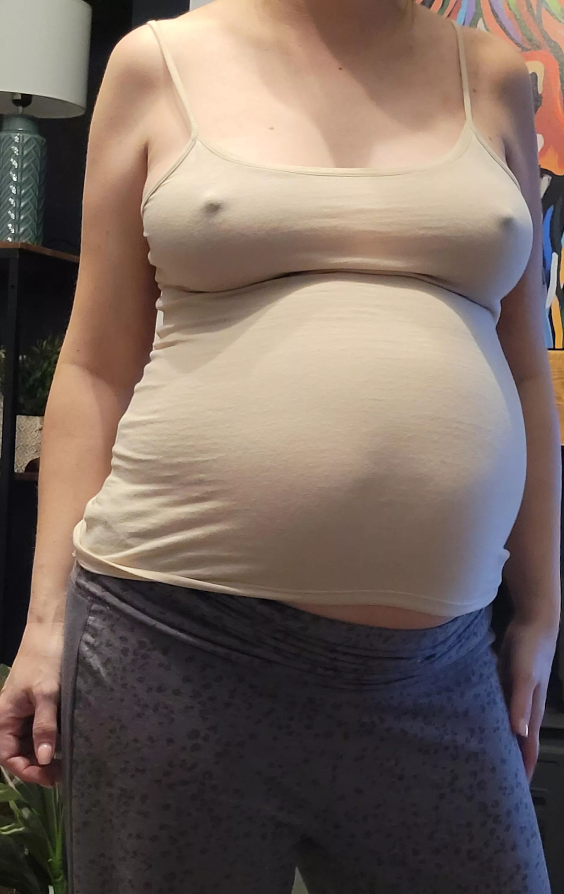 Pregnant Pokies