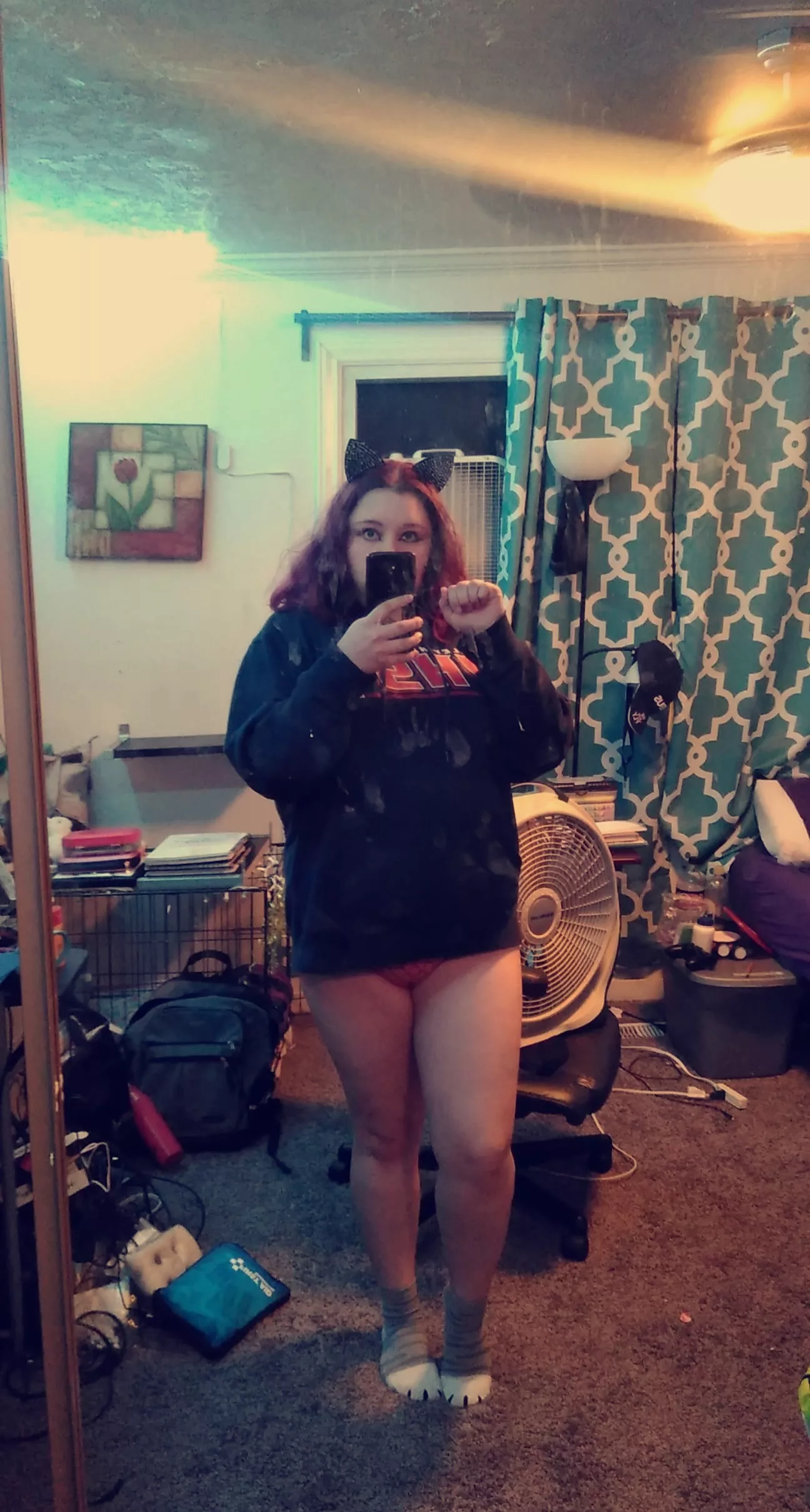 shy kitten here to say hai 0///0