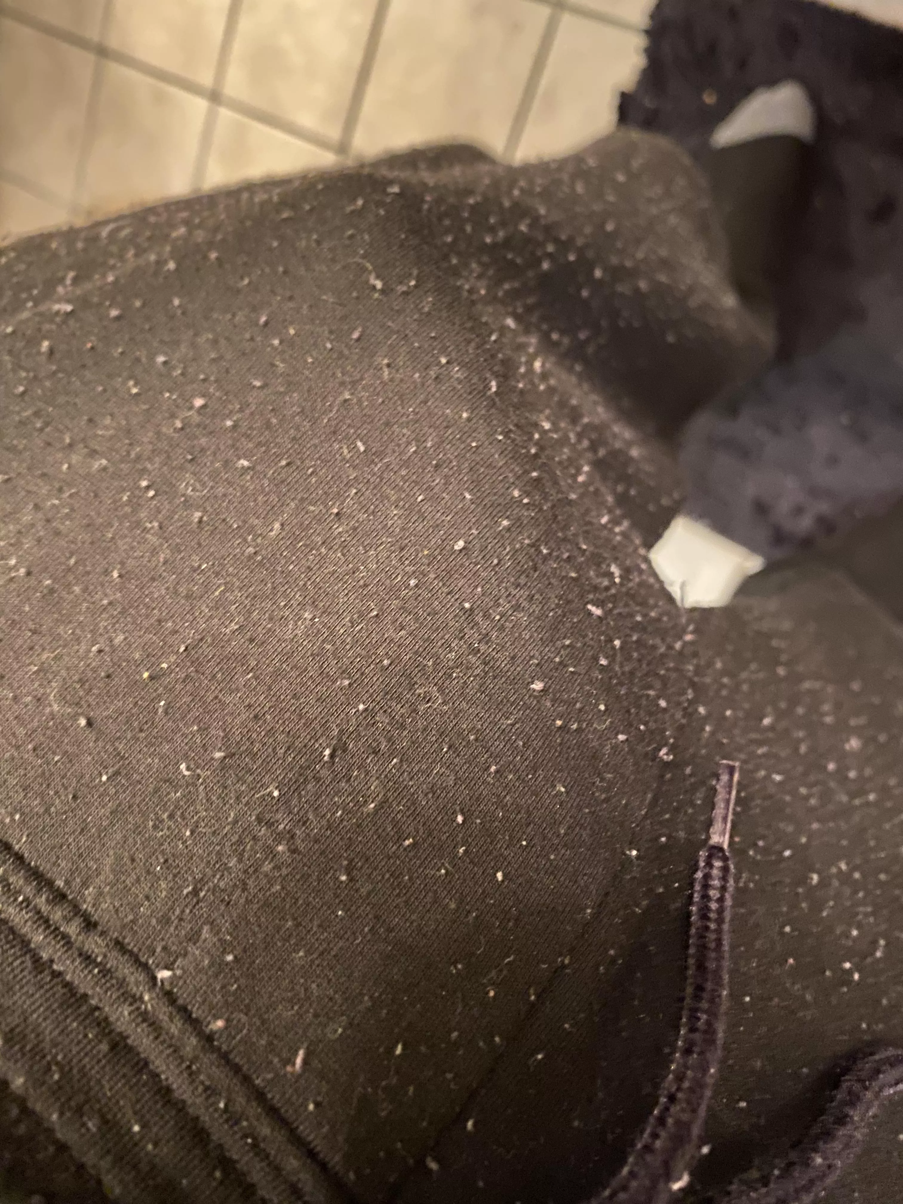 This cock gets horny when it’s hungover (31)