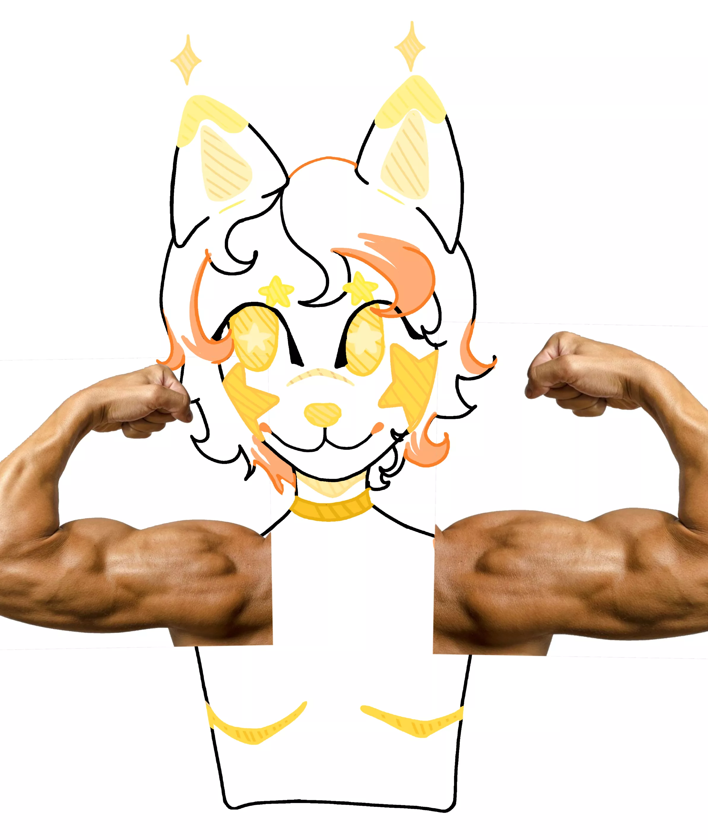 This is like my 2nd attempt to draw a furry ever(Pleas ignore the fact that i was to lazy to draw arms)