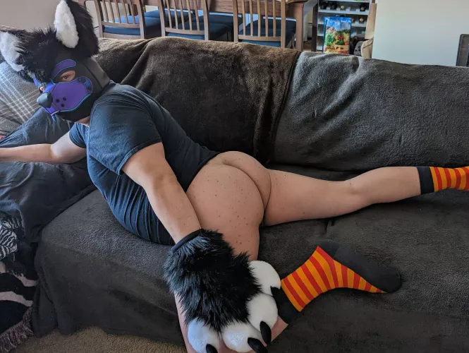 This pup is so ready for MFF