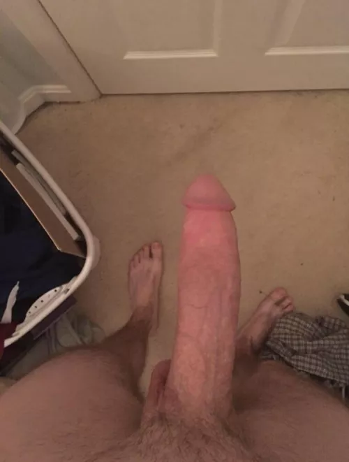 What I see every morning (27)