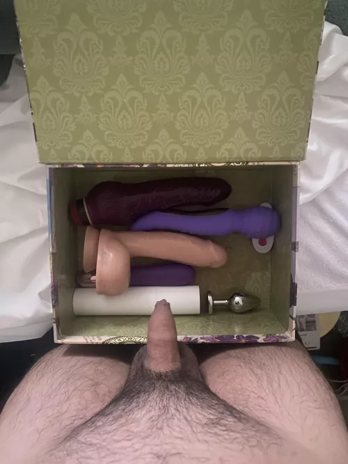 which toy should I play with.. bi curious dad here..
