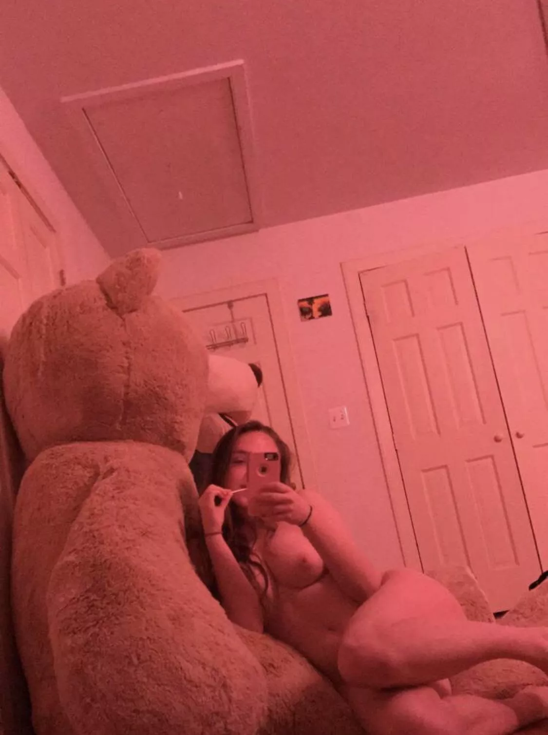 Would you like to be the bear?