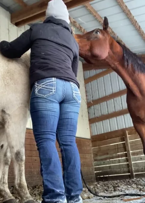 You catch me working at the barn, would you stare at my ass ?