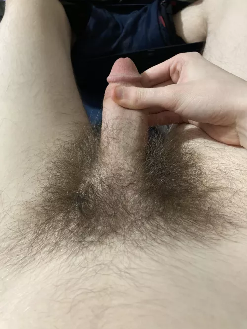 19M It’s my cake day, have some pubes :D