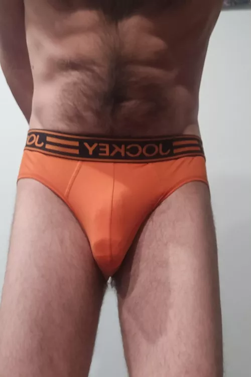 a loyal and trustworthy pair.