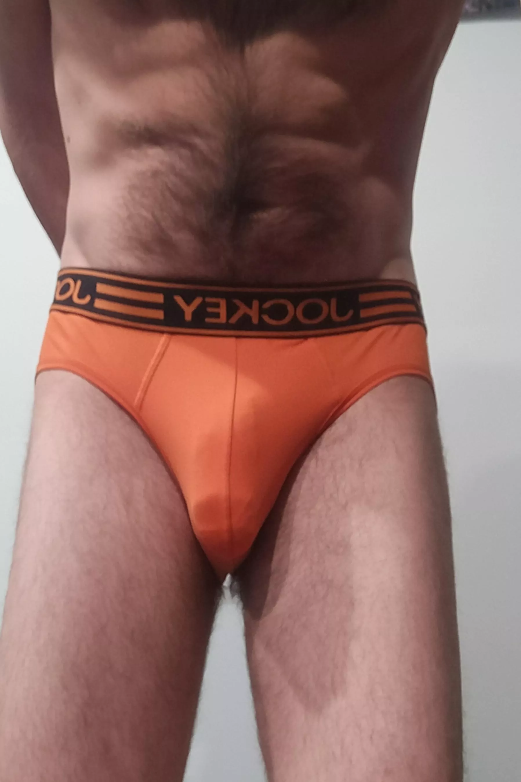 a loyal and trustworthy pair.