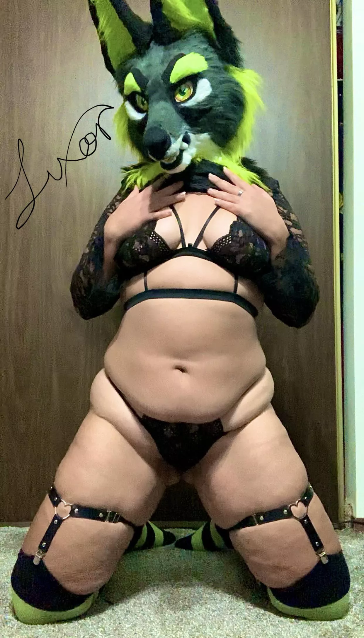 Anyone wanna be a play mate to this Jackal? 😊