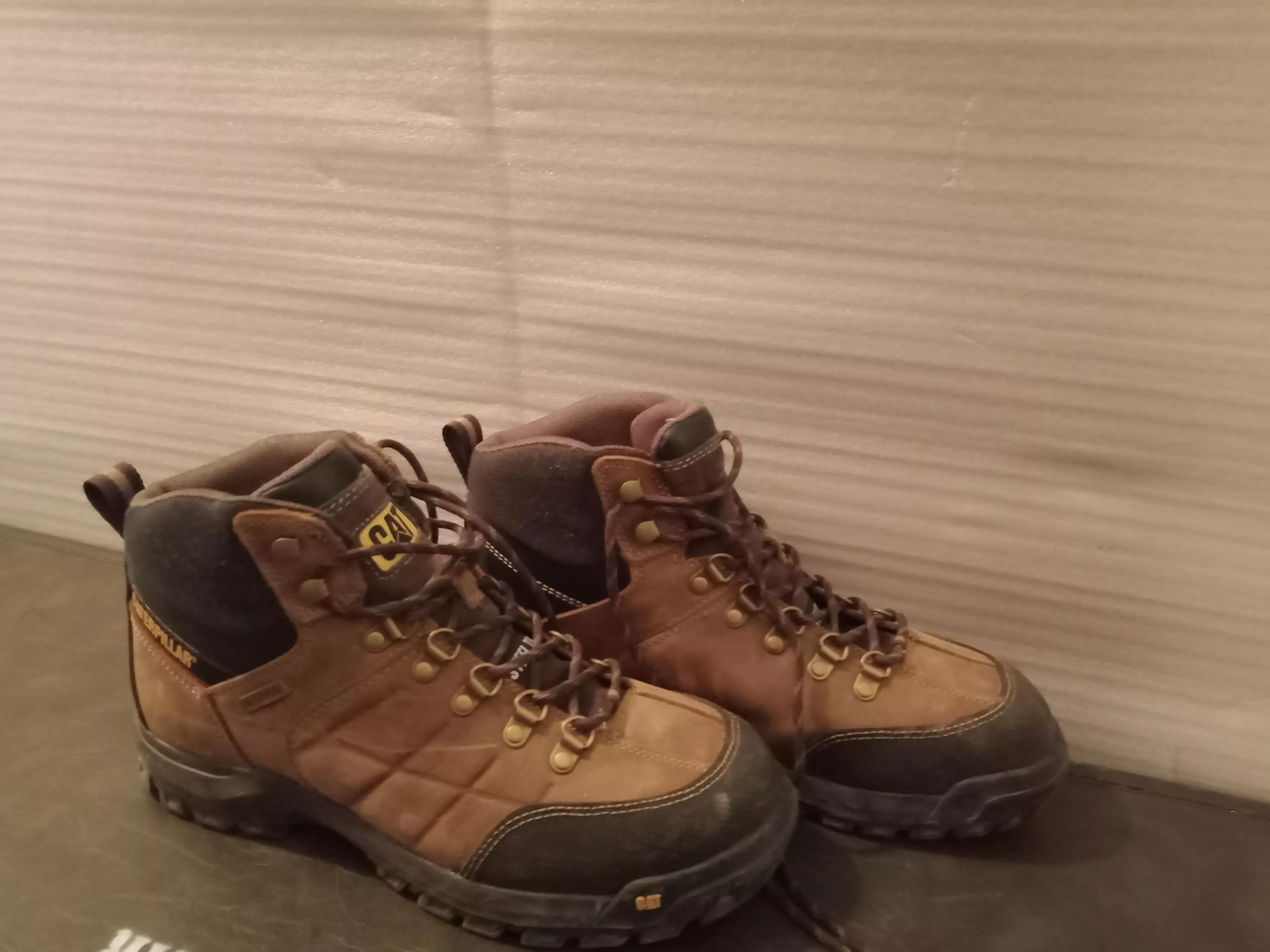 Caterpillar Thresholds. One day old.