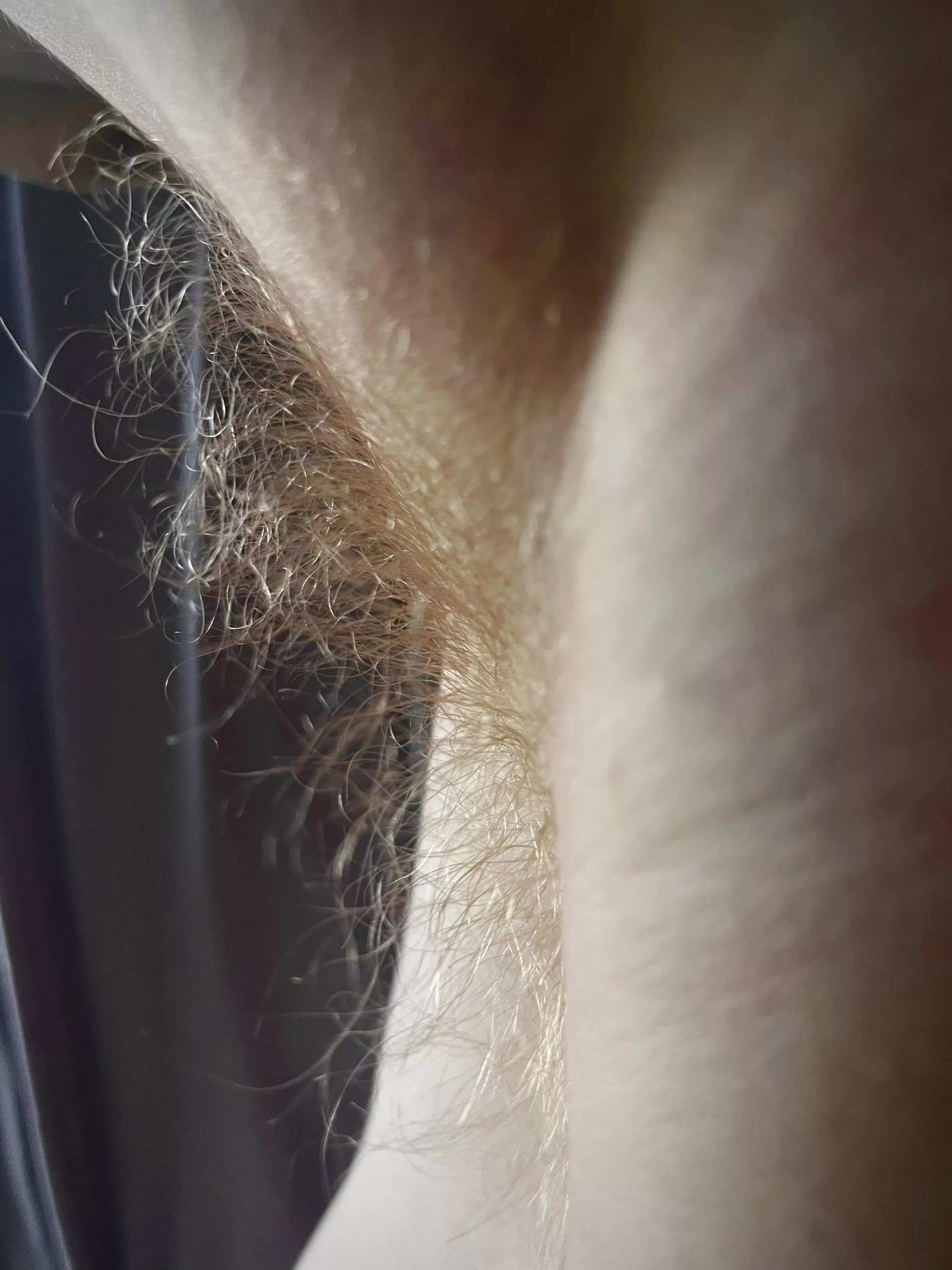 Closeup of my ginger pits