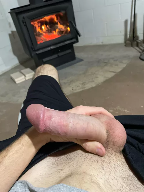 Cock by the fire