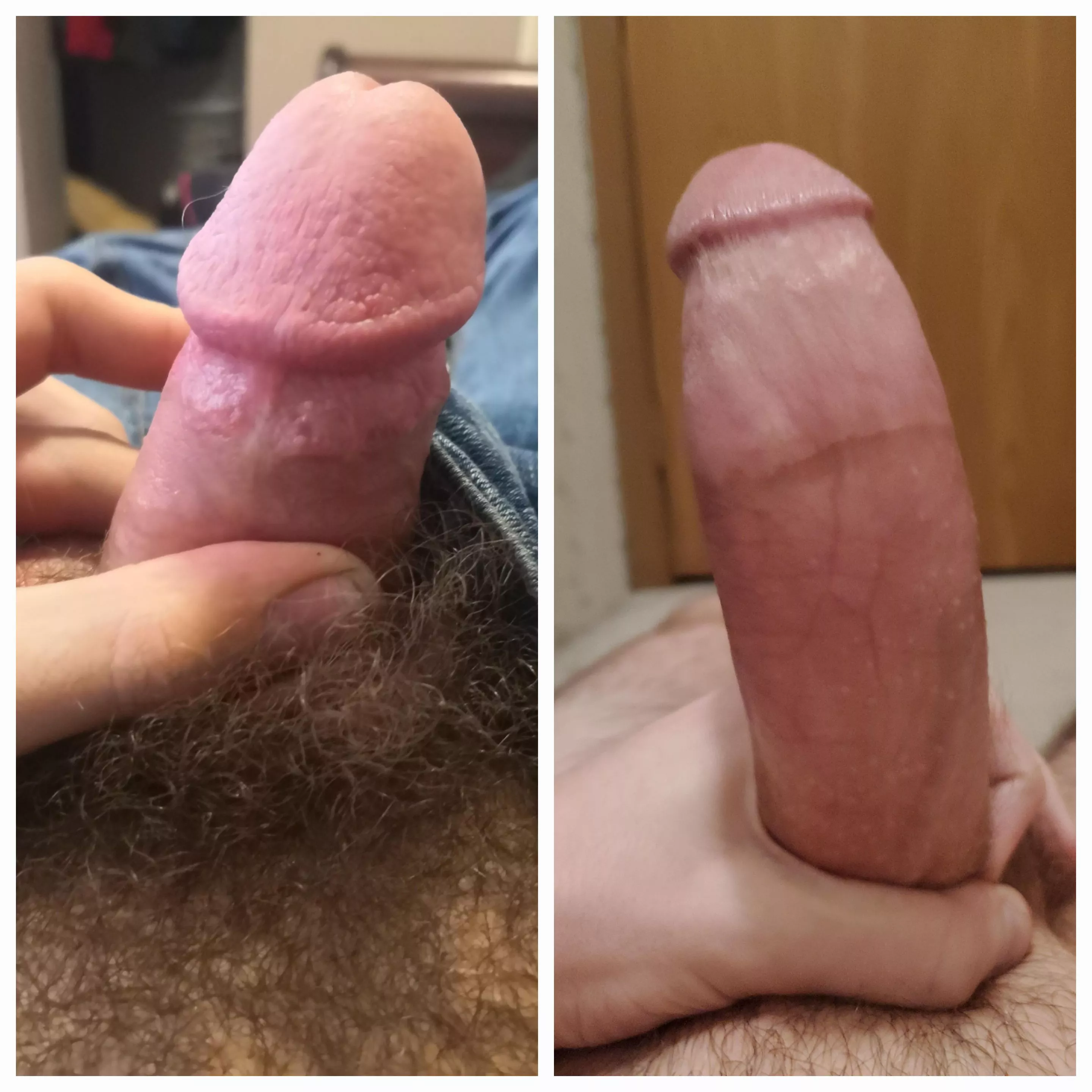 Completely destroyed u/Middle_Composer_0. He's hardly one fourth of my size.