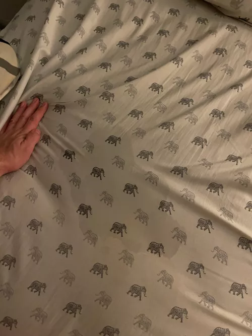 Finally turned my non believing girlfriend into a squirter