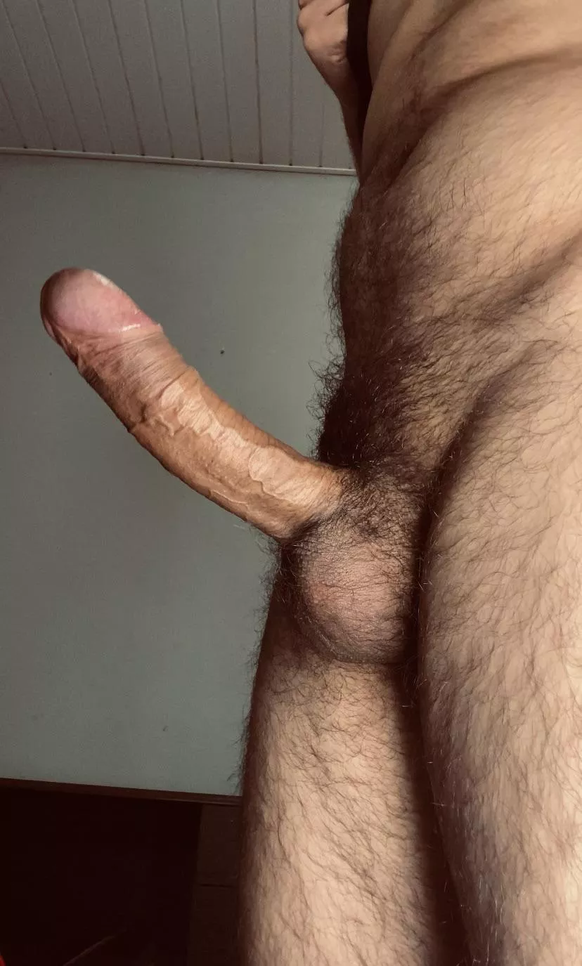 greetings from Brazil 🇧🇷