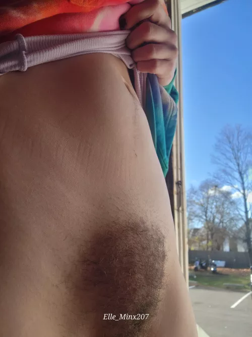 I hope the neighbors see me someday 👀