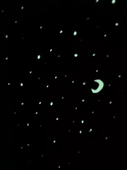 Let’s play a game. These boxers glow in the dark and unfortunately I can’t show my cock and them glowing in the dark at the same time. (Continued in comments)