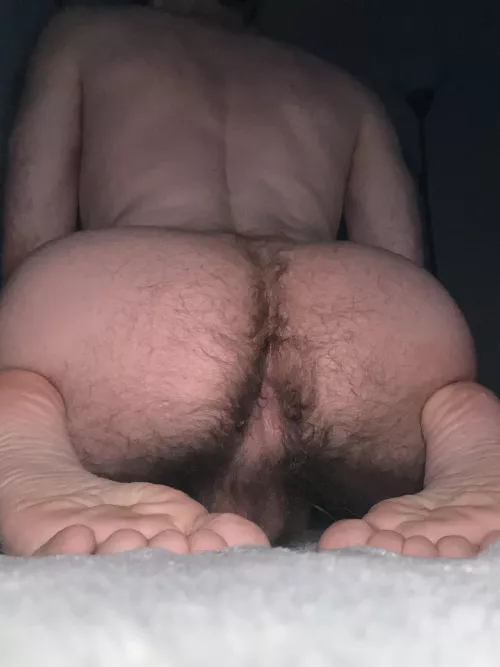 Looking for a taste tester