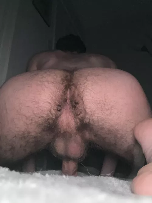 Mount my furry ass until you unload