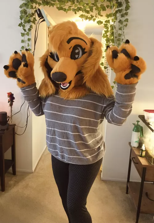 My wife got me my very first suit and I feel so cute! Golden retriever/saluki mix! Fursona designed by Crassterpiece, suit made by LLM ❤️