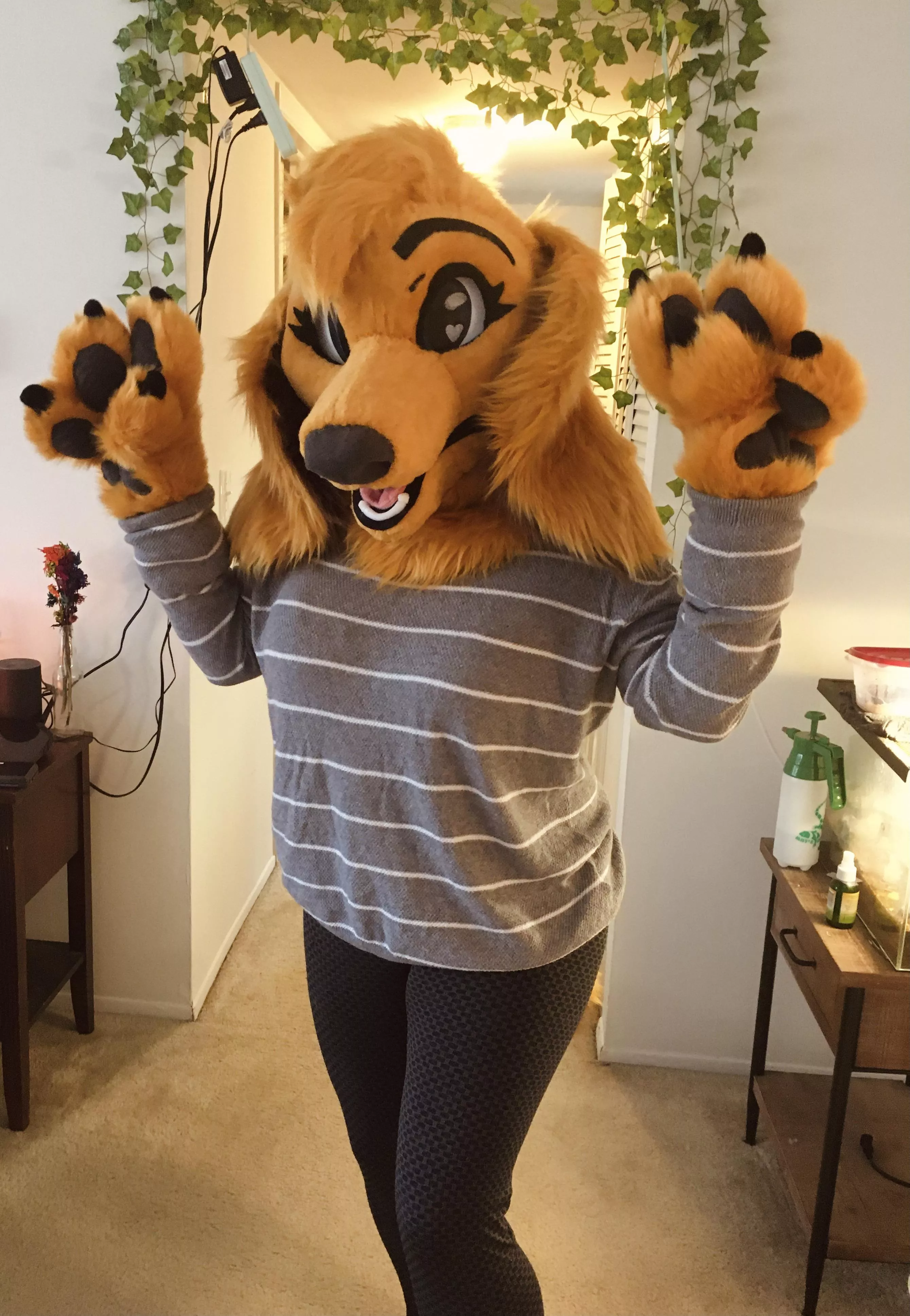 My wife got me my very first suit and I feel so cute! Golden retriever/saluki mix! Fursona designed by Crassterpiece, suit made by LLM ❤️