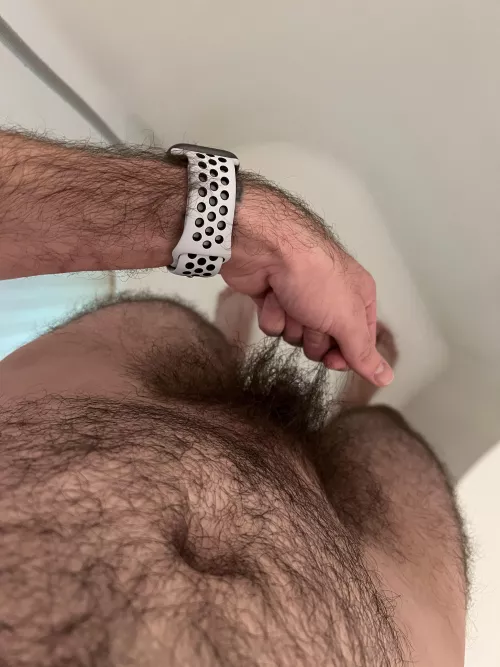 play with (m)y bush?
