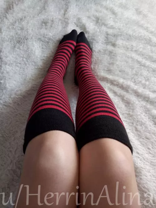 [selling] worn items, findom, femdom, custom content, online sessions and pics ;)